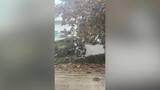 CAUGHT ON CAMERA: Man falls through Vancouver Mall ceiling, is arrested ...