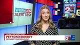 5 dogs killed after woman injured in dog attack – WKRN News 2