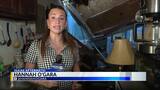 Florida man with katana, ‘tiki torch’ arrested after setting multiple ...