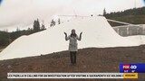 Ice Joint Machine Woodland community calls for change after ICE agent allegedly hit ...