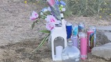 Man Involved in Fight at Discovery Park Dies; Sacramento Police ...