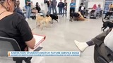 Futureman Animation Animation students sketch future service dogs – NBC4 WCMH-TV