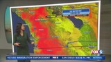 Imagine Wild: Mountain Yellow-legged Frog is Open – FOX 5 San Diego ...