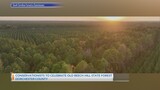 How does the SNAP rule reversal impact SC? – WCBD News 2