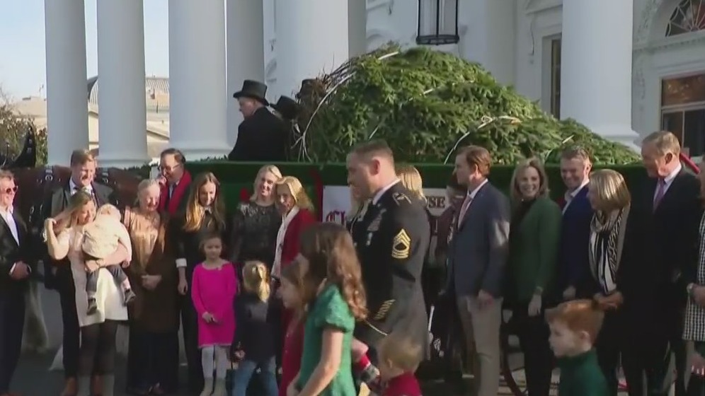 North Carolina Christmas tree selected for the White House | NewsNation ...