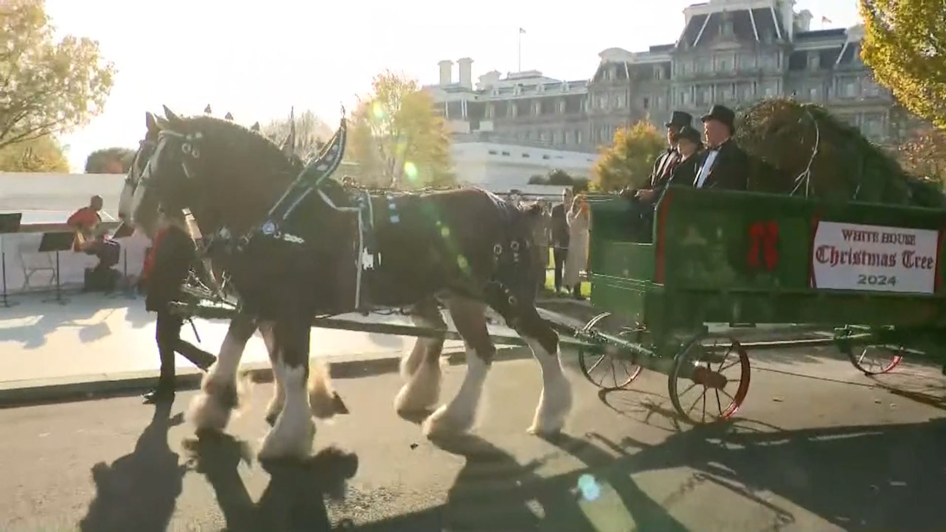 White House receives Christmas tree for the holidays | NewsNation ...
